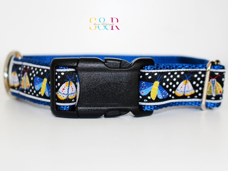 May include: A blue dog collar with a black and white polka dot pattern and a colorful butterfly design. The collar has a black plastic buckle.