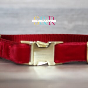 Puede incluir: Un collar de perro de terciopelo rojo con herrajes dorados. El collar tiene un cierre de hebilla y dos anillas en D.