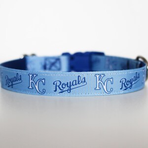 May include: A light blue dog collar with a white and blue Kansas City Royals logo repeated along the collar.
