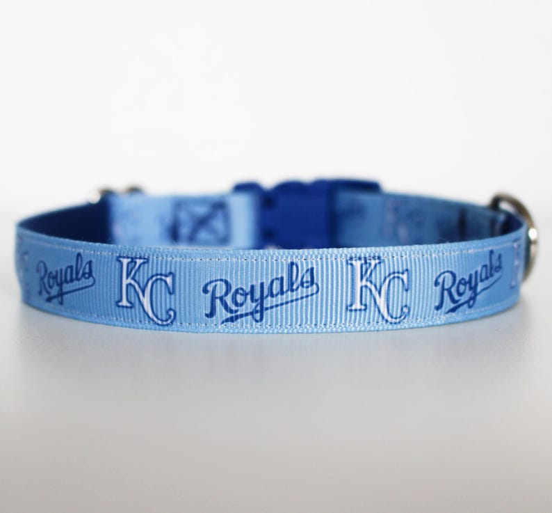 May include: A light blue dog collar with a white and blue Kansas City Royals logo repeated along the collar.