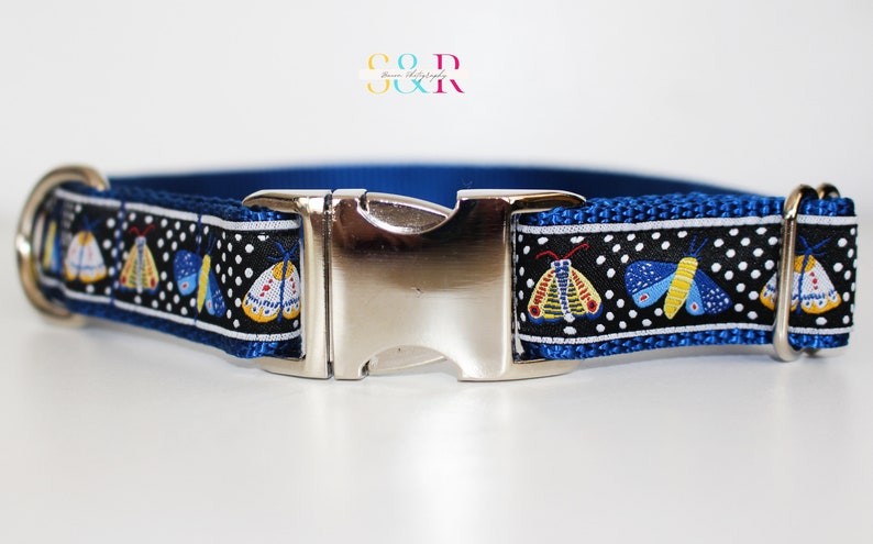May include: A blue dog collar with a silver buckle and a black and white patterned ribbon featuring colorful butterflies.