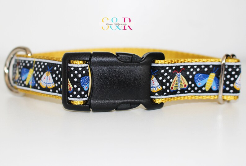May include: A yellow dog collar with a black buckle and a black and white patterned ribbon featuring colorful moths. The ribbon has white polka dots.