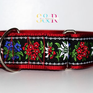 2&quot; Wide Edelweiss Martingale Dog Collar, Swiss Dog Collar, Bernese Mountain Dog Collar, St Bernard Dog Collar, Sennehund