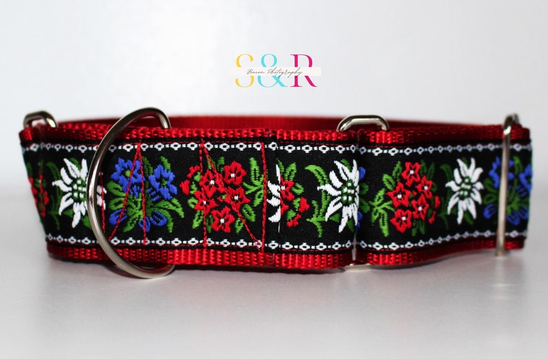 May include: Red dog collar with a black and white floral pattern. The collar has two silver D-rings.