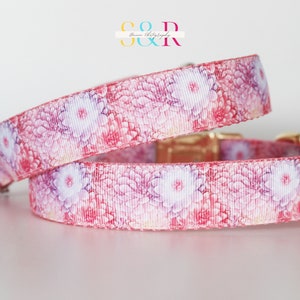 Spring Floral Dog Collar, Pink Dog Collar, Pink Dog Collar 1" wide with Optional Leash