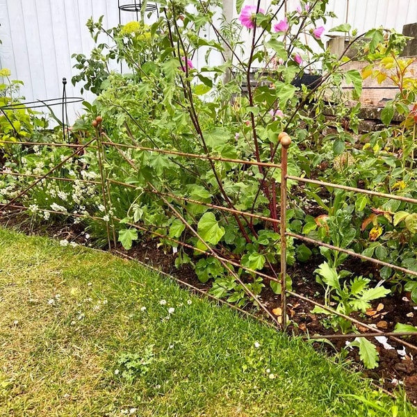 Cottage garden plant support. Lawn border, path edging, Allotment. Pet barrier. Organic rusty steel fence. Free Shipping within UK- Handmade