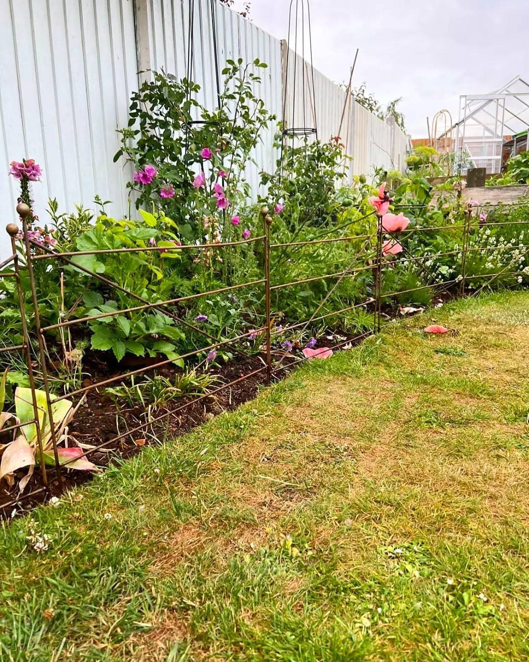 how do you keep dogs out of flower beds
