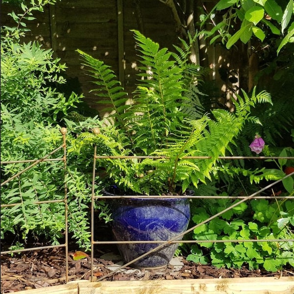 Traditional Steel Garden Edging: Rustic UK- made, Pet Fence Barrier. Handmade in UK