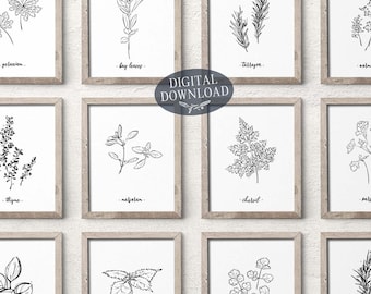 Botanical Print Set of 16 Herbs, Gallery Wall Decor Printable Wall Art, Minimalist Black and White Hand Drawn Kitchen Line Art Prints
