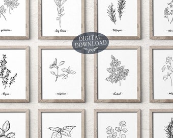 Botanical Print Set of 16 Herbs, Gallery Wall Decor Printable Wall Art, Minimalist Black and White Hand Drawn Kitchen Line Art Prints