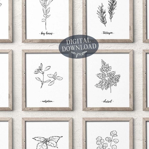 Set of 16 Kitchen Herbs and Spices Printables Antique - Etsy