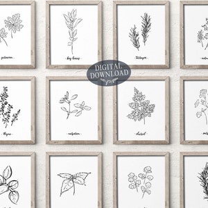 Botanical Print Set of 16 Herbs, Gallery Wall Decor Printable Wall Art, Minimalist Black and White Hand Drawn Kitchen Line Art Prints
