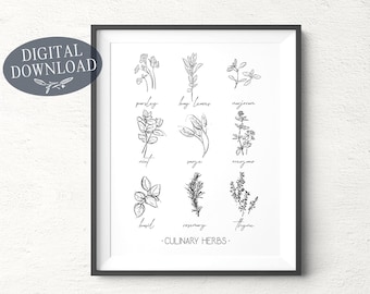 Culinary Herbs, Printable Kitchen Wall Art, Botanical Print, Set of 9 Herbs, Black and White Printable Artwork, Digital Download