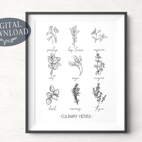 Culinary Herbs Printable Kitchen Decor Wall Art Wall - Etsy