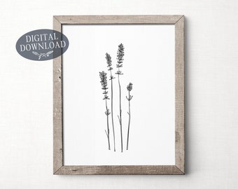 May include: A black and white line drawing of lavender flowers in a simple, minimalist style. The drawing is framed in a light wood frame.