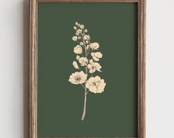 Botanical Wall Art, Sage Green Pencil Sketch Printable Wall Art, French Country Floral Vintage Artwork, Gallery Wall Decor, Digital Download