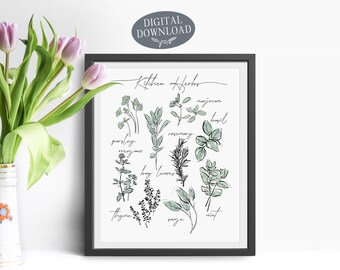 Kitchen Herbs, Printable Wall Art, Botanical Print of 9 Herbs, Digital Download, Parsley Marjoram Sage Thyme Mint Oregano Basil Rosemary