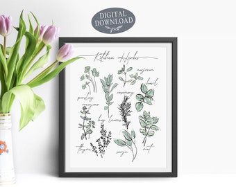 May include: A printable kitchen herb chart with illustrations of various herbs, including parsley, oregano, rosemary, thyme, sage, mint, bay leaves, basil, and marjoram. The text "Kitchen Herbs" is at the top of the chart.