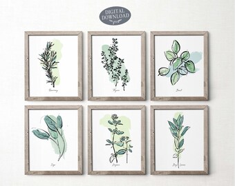 Op de afbeelding: Set van zes printbare kunstprints met handgetekend illustraties van verschillende kruiden, waaronder rozemarijn, tijm, basilicum, salie, oregano en laurierbladeren. Elke print heeft een aquarel achtergrond in tinten groen en wit.
