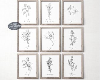 Herb Prints, Set Of 9, Printable Kitchen Wall Art, Botanical Print Set, Parsley Bay Leaves Marjoram Sage Thyme Mint Oregano Basil Rosemary