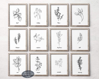 Botanical Print Set, Printable Wall Art, Kitchen Wall Decor, Set of 12 Herbs, Minimalist Black and White Hand Drawn Floral Leaf Line Art