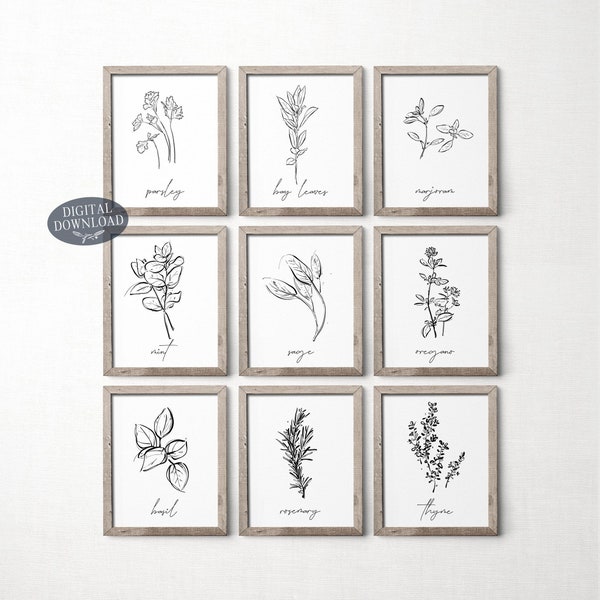 Herb Prints, Set Of 9, Printable Kitchen Wall Art, Botanical Print Set, Parsley Bay Leaves Marjoram Sage Thyme Mint Oregano Basil Rosemary