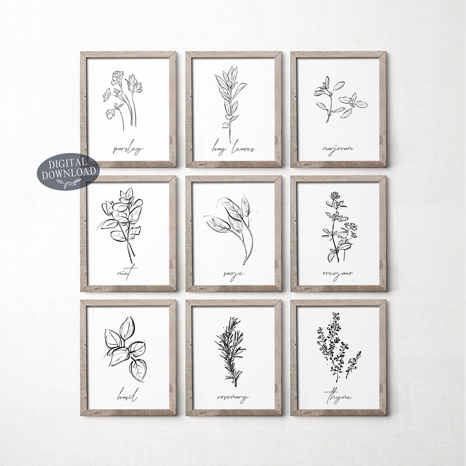 Herb Prints, Set of 9, Printable Kitchen Wall Art, Botanical Print Set ...