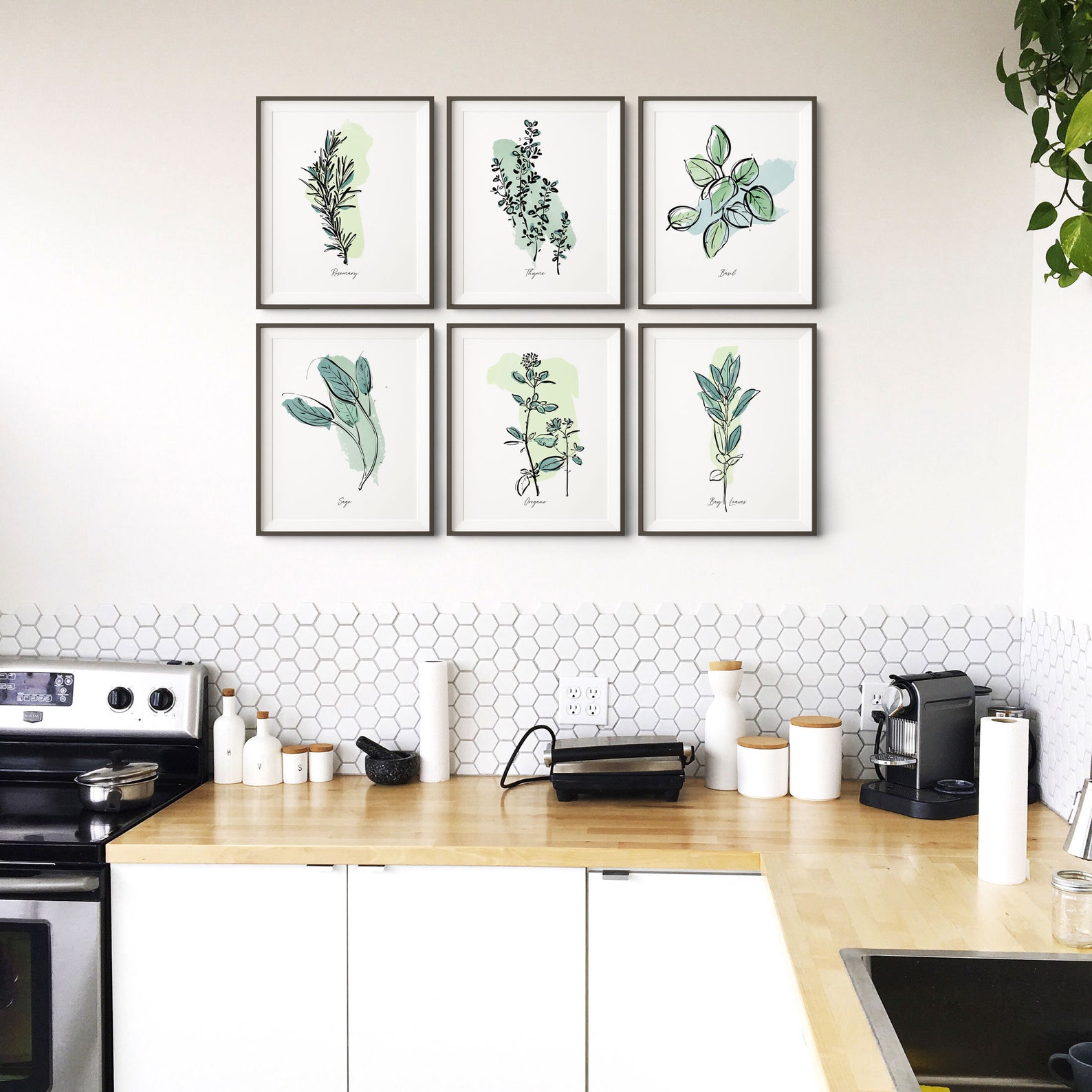 Set of 6 Herb Prints, Printable Kitchen Wall Art, Botanical Print Set ...