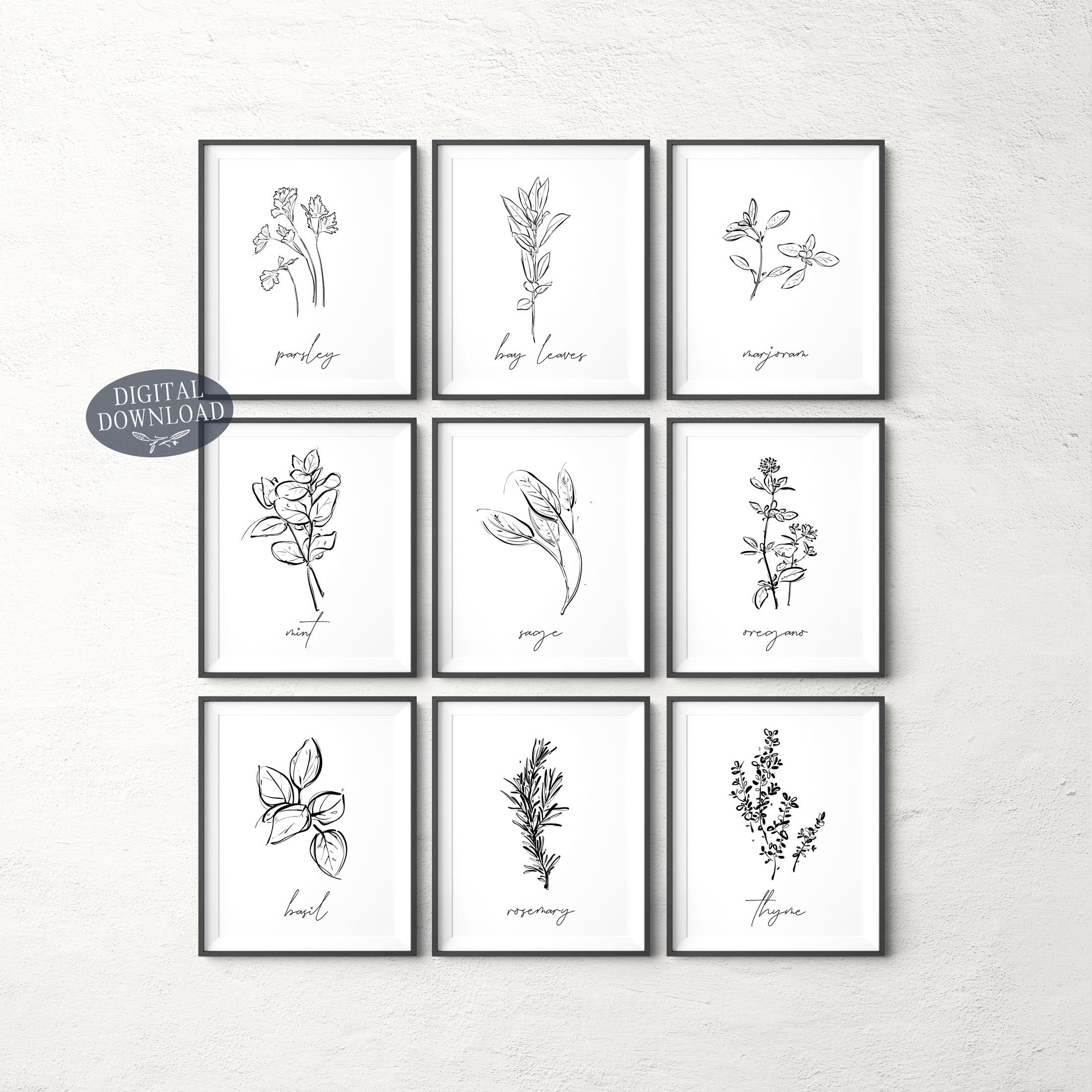 Herb Prints, Set of 9, Printable Kitchen Wall Art, Botanical Print Set ...