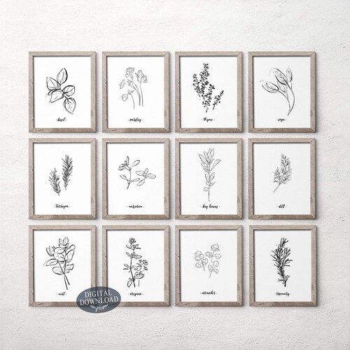 Herb Prints Set of 9 Printable Kitchen Wall Art Set Black Etsy
