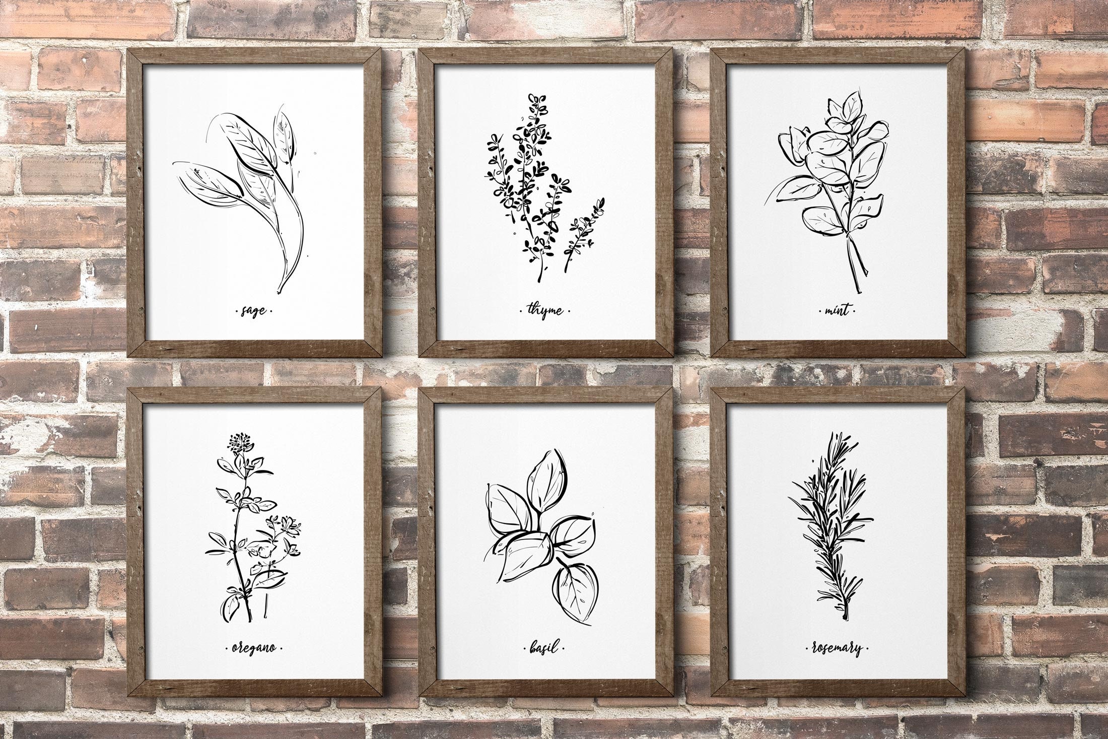 Botanical Print Set, Printable Kitchen Wall Art, Set of 6 Herbs, Sage ...