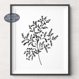 Botanical Set of 3 Prints, Printable Wall Art, Black and White ...