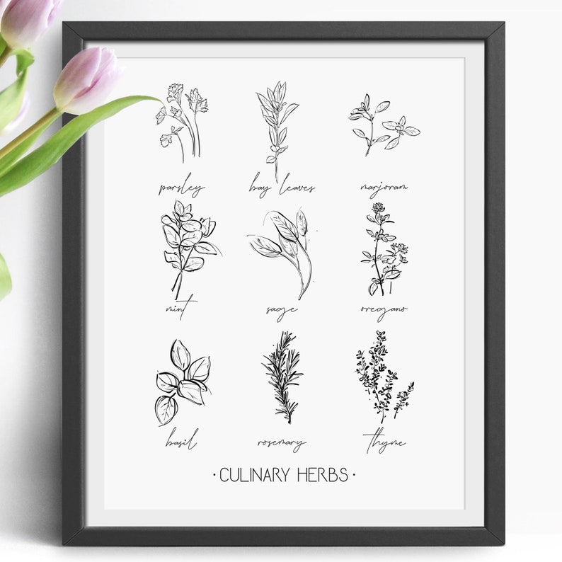 Culinary Herbs, Printable Kitchen Wall Art, Botanical Print, Set of 9 ...