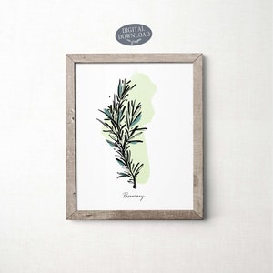 Set of 6 Herb Prints, Printable Kitchen Wall Art, Botanical Print Set ...