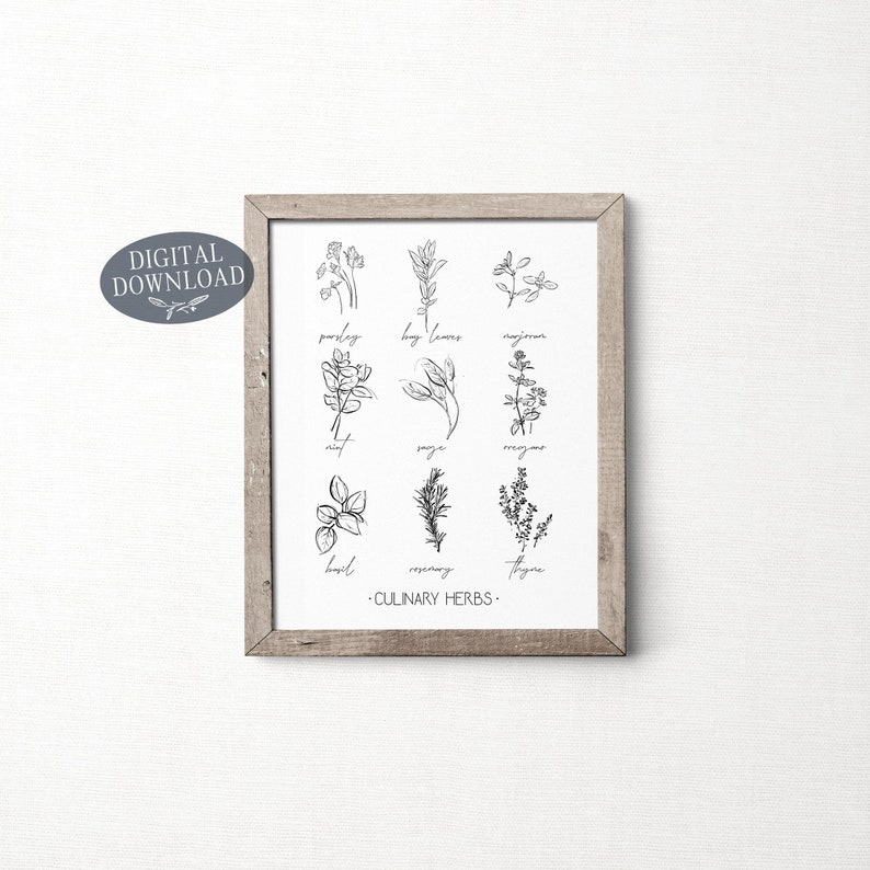 Culinary Herbs, Printable Kitchen Wall Art, Botanical Print, Set of 9 ...