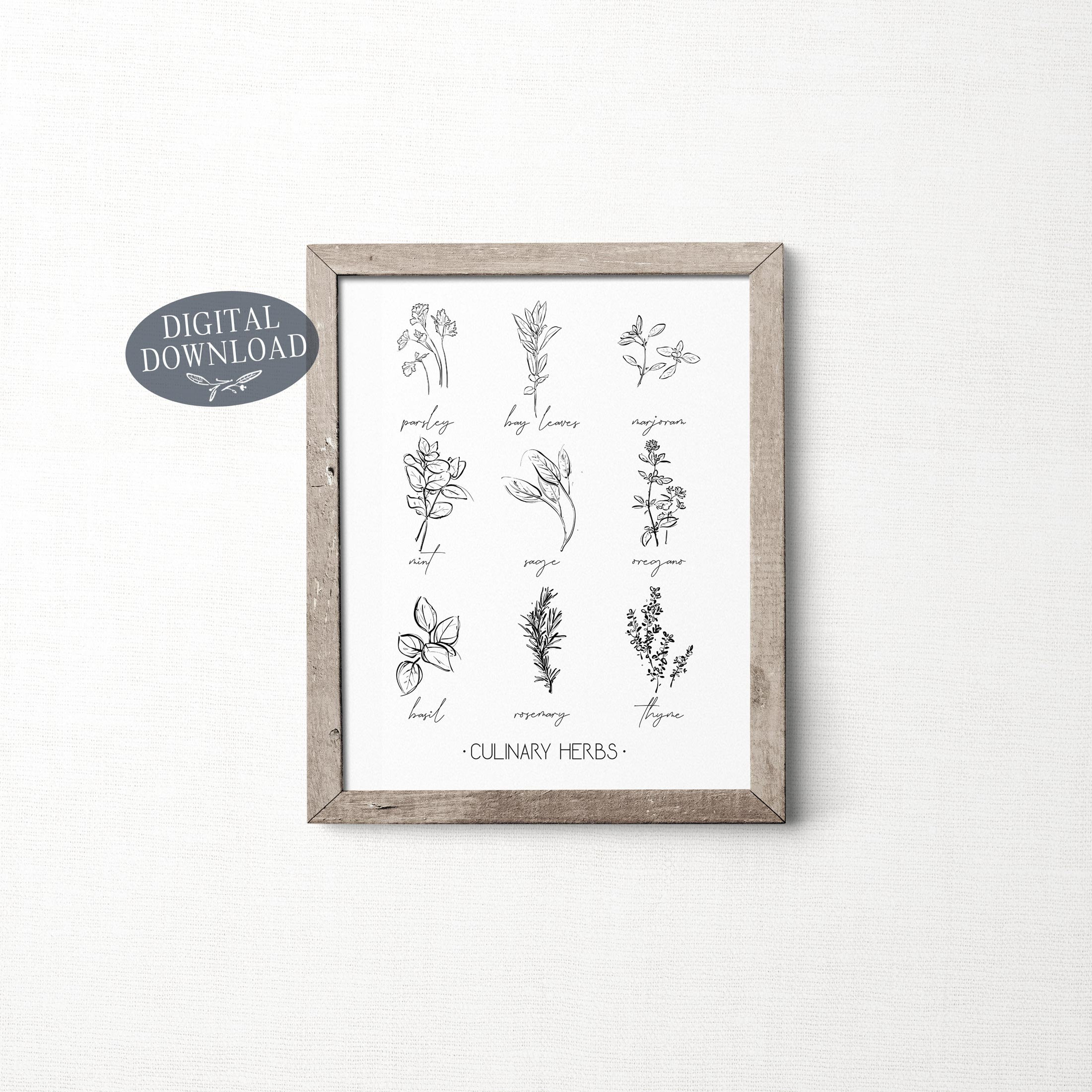 Culinary Herbs Printable Kitchen Wall Art Botanical Print | Etsy