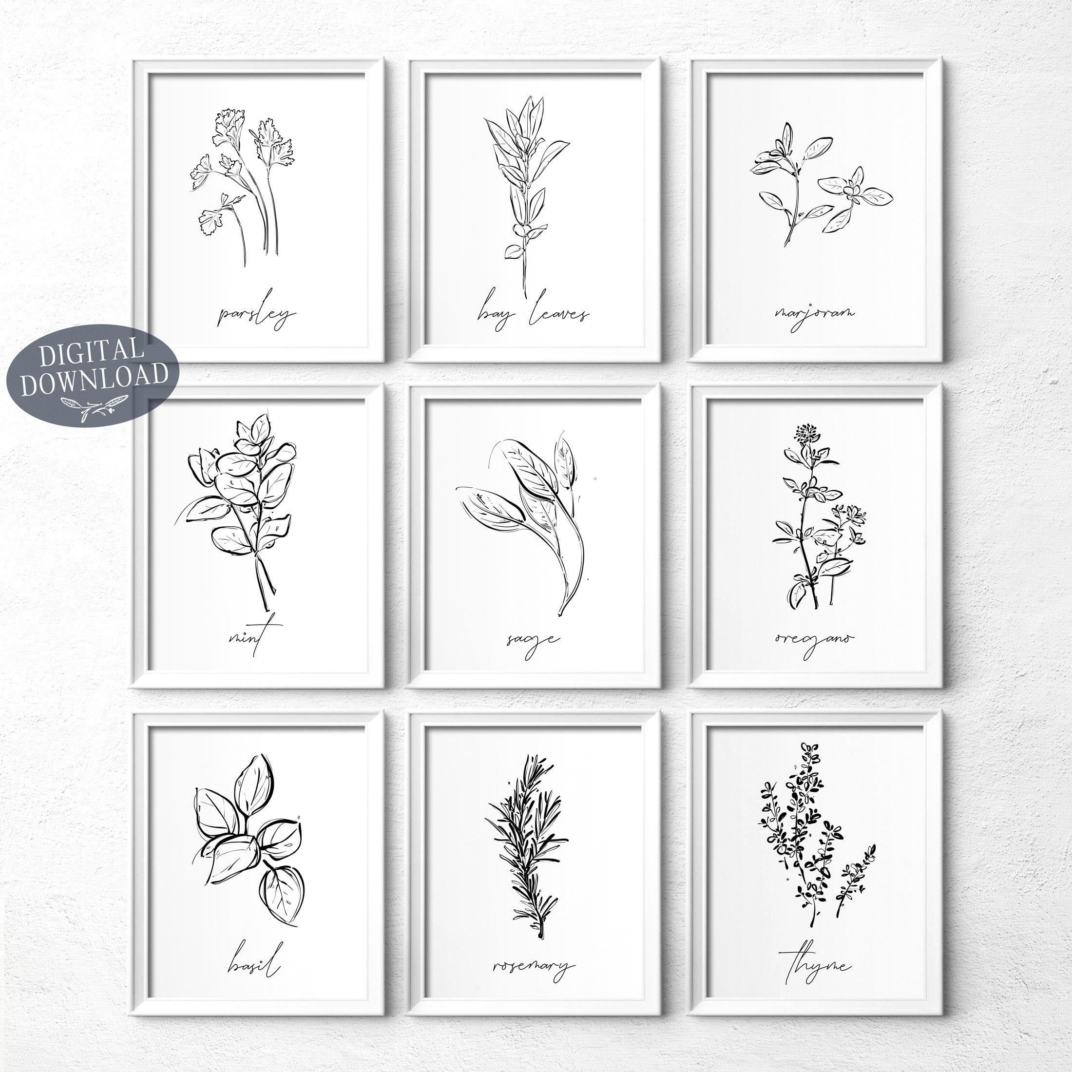 Herb Prints, Set of 9, Printable Kitchen Wall Art, Botanical Print Set ...