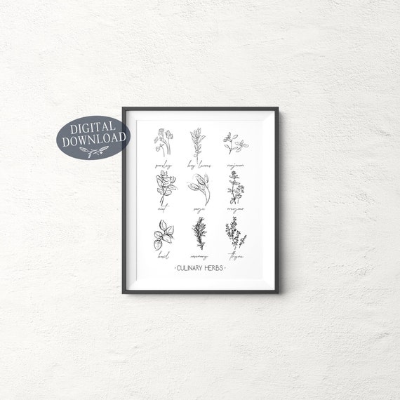 Culinary Herbs Printable Kitchen Wall Art Botanical Print | Etsy