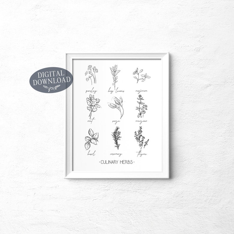 Culinary Herbs Printable Kitchen Wall Art Botanical Print | Etsy