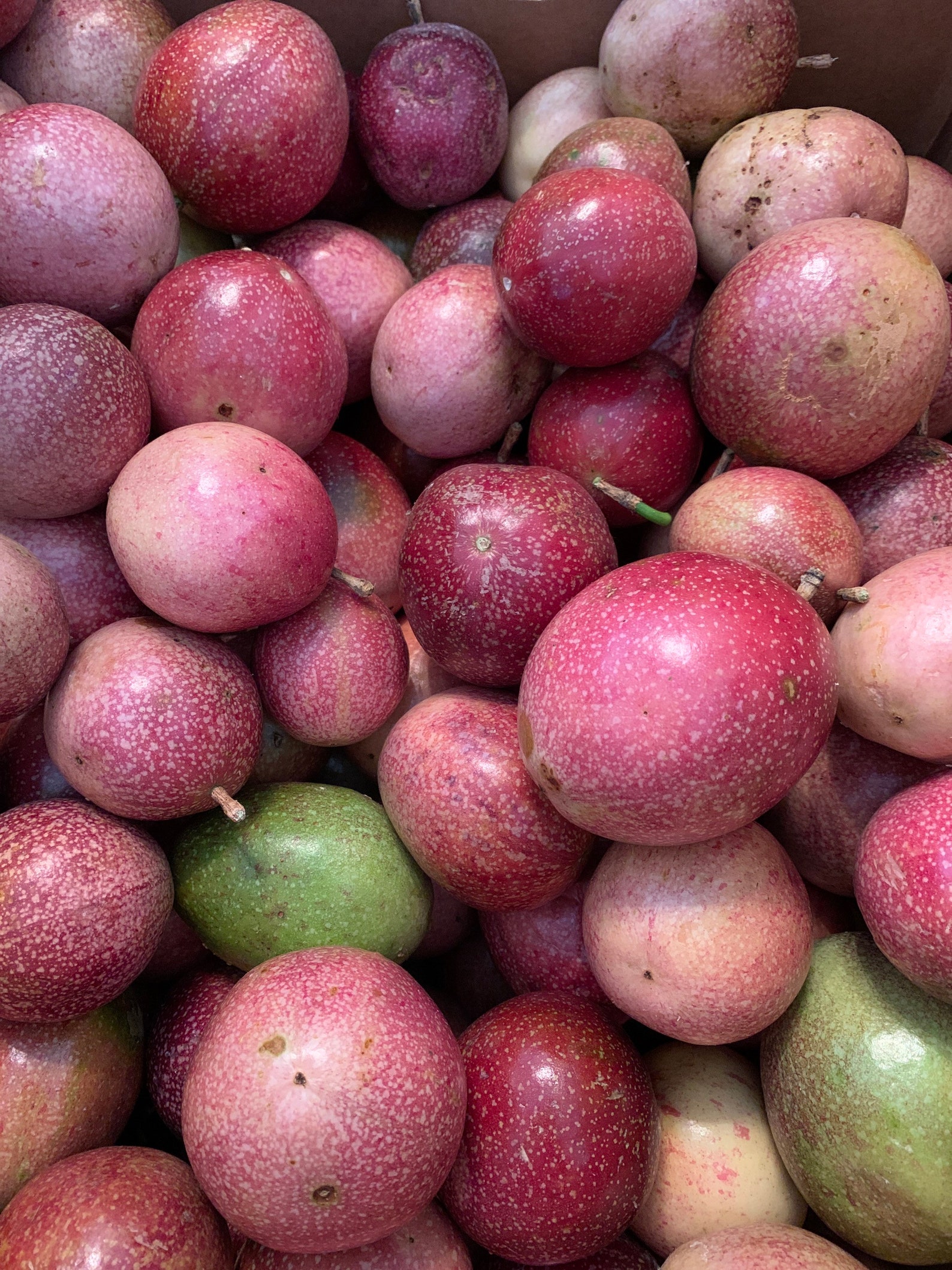 2 LBS Florida Fresh Passion Fruit Etsy