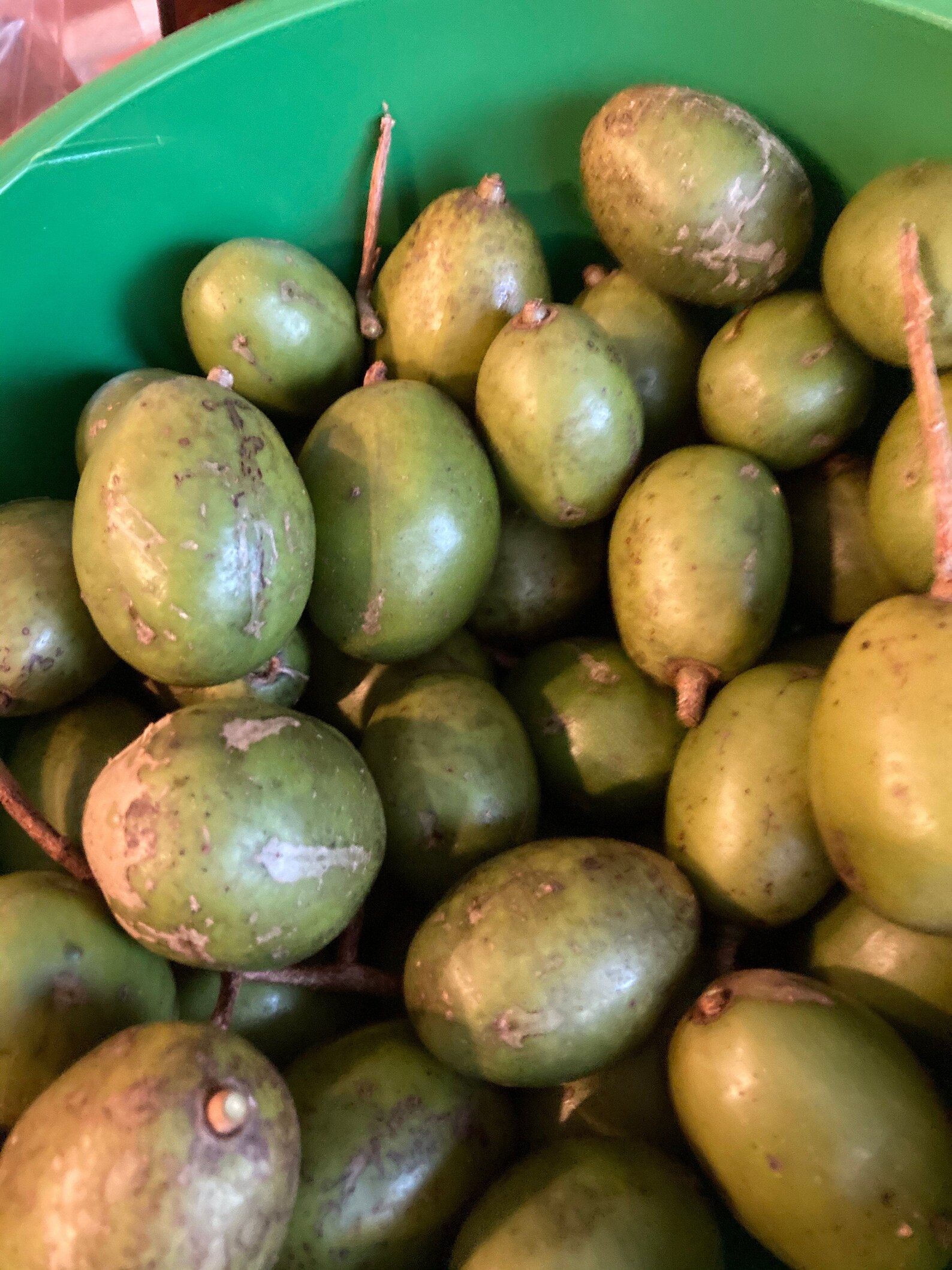 Fresh June Plum 3 LBS The Actual Fruit Free Shipping Etsy