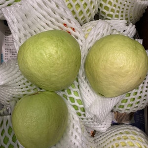 May include: A close-up of several green guavas wrapped in white protective netting. The guavas are arranged in a basket or container.