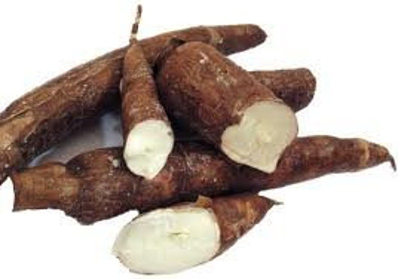 Fresh Yuca Root 5 lbs