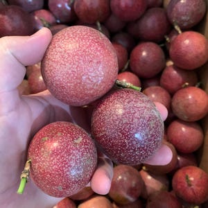 Passion Fruit (Lilkoi) fresh from Florida