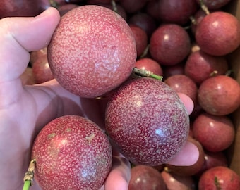 Passion Fruit fresh from Florida