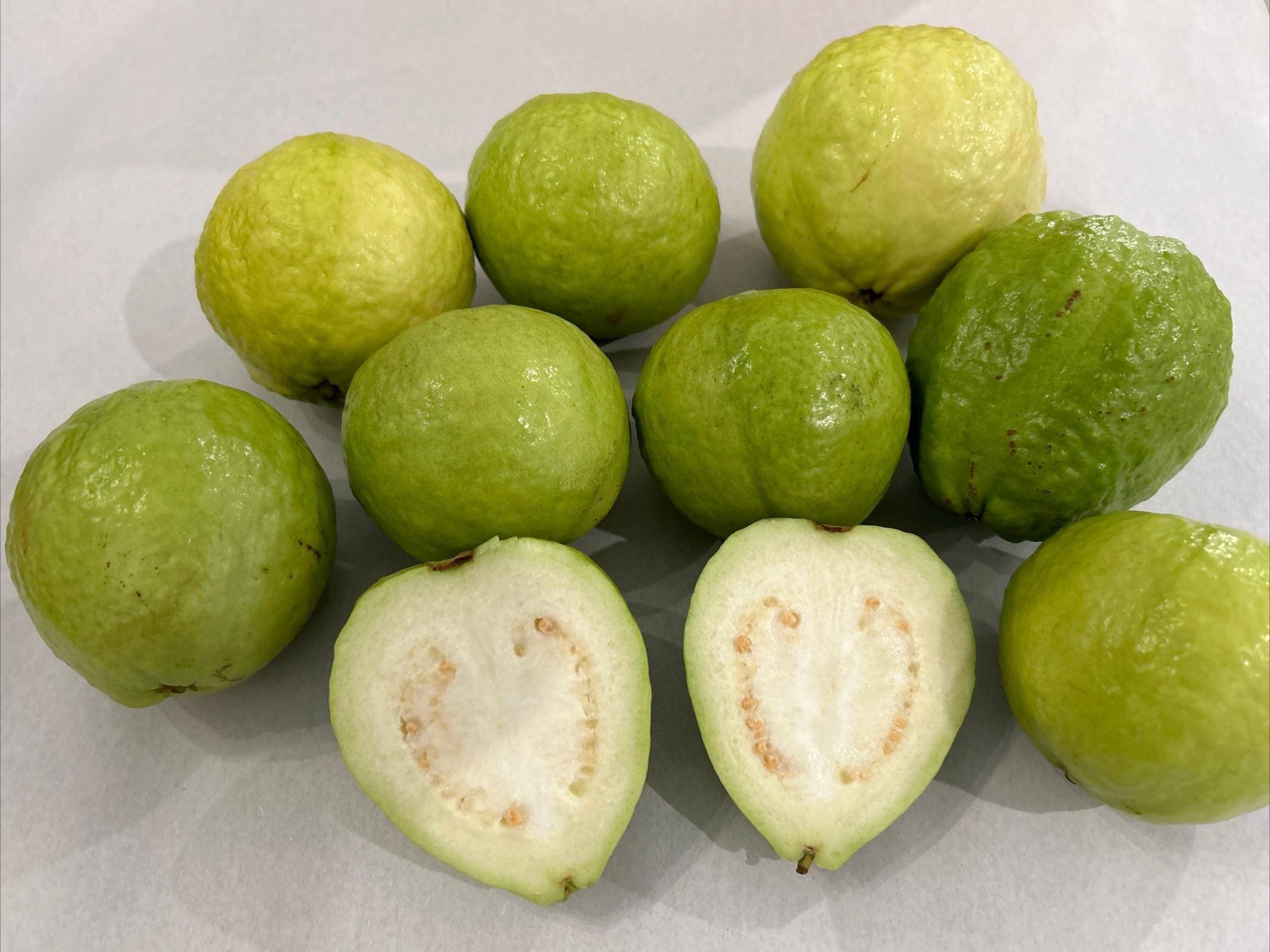 Thai Guava Fruit - Etsy, image size:2134x1600