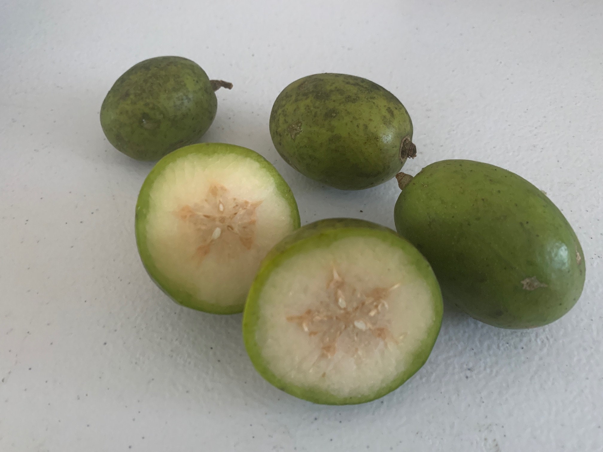 June Plum Thai 4 LBS The actual fresh fruit Etsy