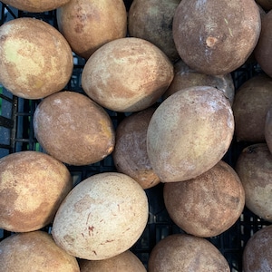 Fresh Sapodilla Nispero  The Actual Fruit
