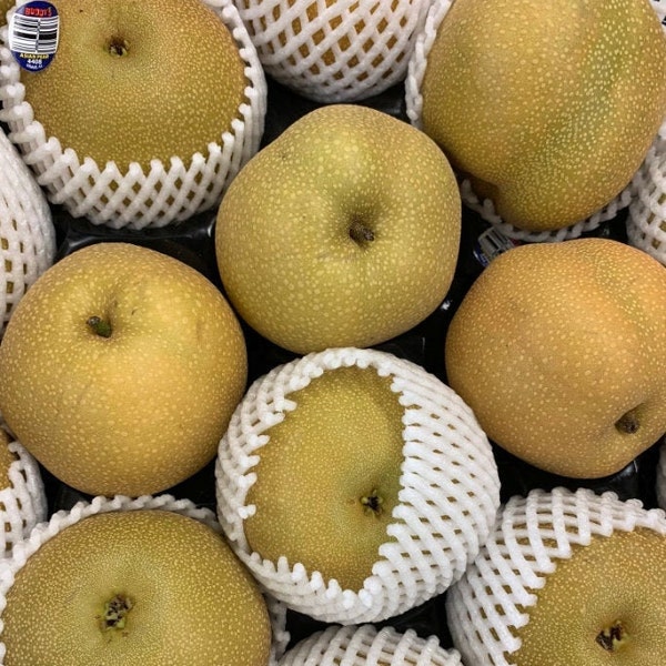 Asian Pears Fruit (3 LBS) The Actual Fruit