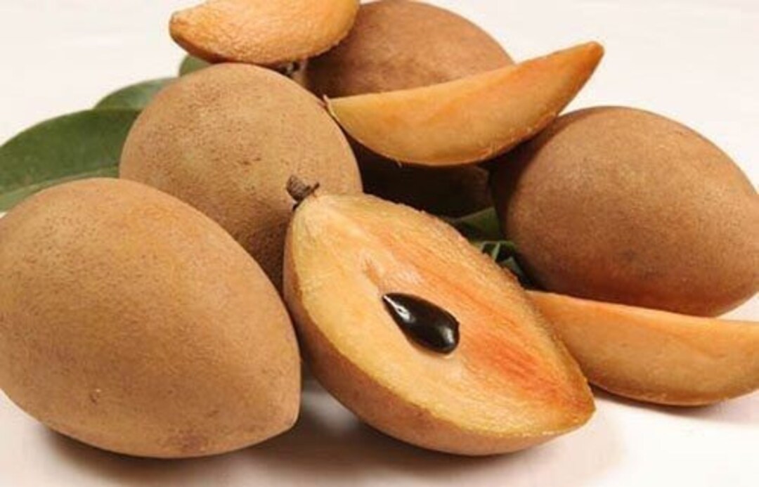 Fresh Sapodilla nispero 3 Lbs Standard Shipping Included - Etsy Norway